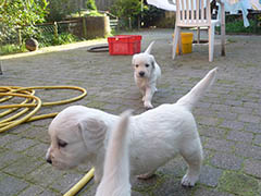 Op verkenning uit