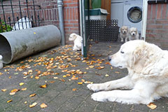 De volgende drempel over.