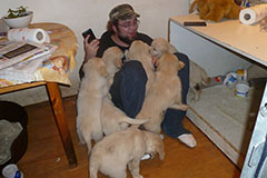 Puppyknuffeltijd.