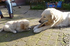 Mam………….mag ik ook even?
