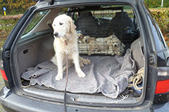 Samen in de auto.